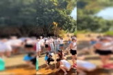 Protetora de animais morta em acidente é homenageada com ipê amarelo