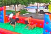 Vídeo: pit-bull invade festa infantil, provoca pânico e fere 5 pessoas