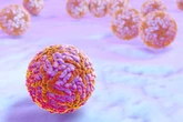 Fiocruz relata caso raro de encefalite associada à infecção pelo zika