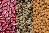 Feijão, lentilha ou grão-de-bico: qual opção tem mais proteína?