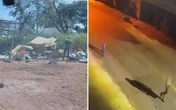 Homem é preso em cemitério por espancar jovem até a morte em GO; vídeo