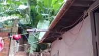 Crime organizado faz “leão” se dobrar ao “gato”
