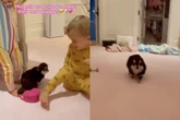 Paris Hilton encanta ao mostrar os filhos conhecendo novo cachorrinho