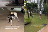 Nattan recebe presente inusitado em show e surpreende Rafa Kalimann