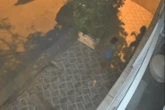 Jovem é baleada nas costas por outra mulher em calçada de Santos. Veja