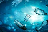 Impacto humano nos oceanos dobrará até 2050, afetando vida marinha