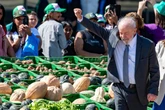 Governo Lula quer novo rastreamento agrotóxicos e gera embate com agro