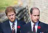 Harry desembarca no Reino Unido, mas encontro com William é improvável