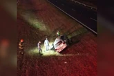 Vacas invadem rodovia e causam acidente que deixou 3 feridos em SP