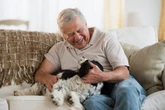 7 raças de cachorro que são ótimas companheiras para idosos; confira