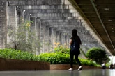 Assédio sexual em universidades e IFs: como e onde denunciar