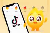 “Foguinho do TikTok”: conheça o pet virtual febre entre os jovens