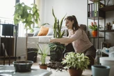 Banho de floresta indoor: os benefícios de ter muitas plantas em casa
