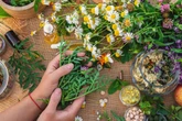 Flor-da-paixão: conheça planta poderosa no controle da ansiedade