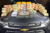 PMDF apreende 43 kg de skunk, com valor estimado em R$ 600 mil