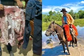 Pantanal: peão atacado por onça próximo a carcaça segue internado