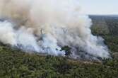 Estado sufocado pela fumaça tem “incêndio vingança” de grileiros