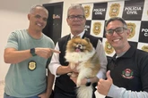 Cachorro furtado em SP é encontrado em SC e devolvido à família