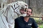 Cuidador morre após ser atacado por tigre durante apresentação