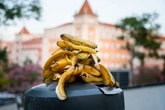Não jogue fora: cascas de banana podem virar um adubo potente e barato