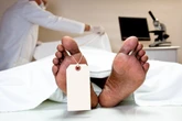 Múmia moderna? Veja técnicas e se você pode ser embalsamado pós-morte
