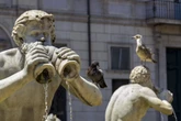 Quais eram os cheiros na Roma antiga? Acredite, bem ruins