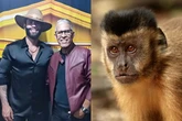 Veja relato do irmão de Gusttavo Lima após ser mordido por macaco