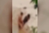 Vídeos de sexo à luz do dia em praia viralizam e geram alerta