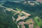 Prêmio dará R$ 30 mil para 10 fotógrafos por obras da Mata Atlântica