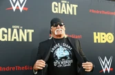 Ex-lutador Hulk Hogan morre aos 71 anos, diz site