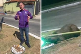 Prefeito se revolta vandalismo, mas “criminosas” eram capivaras. Vídeo