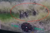 “Equipe Caos” resgatou faccionado do CV que levou tiro de fuzil. Vídeo