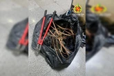 Dupla é detida pela PMDF com 10 metros de cabos furtados na Asa Norte