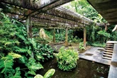 Uma conversa entre Burle Marx, Clarice Lispector, Deus e a tristeza