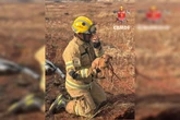 Cachorrinho se perde da mãe e é resgatado a 2 metros de profundidade