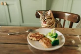 Descubra quais frutas e legumes você nunca deve oferecer ao seu gato