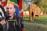“Lacração”, diz prefeito tiktoker sobre campanha pró-elefante Sandro