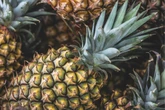 Confira 4 frutas que ajudam a ganhar massa muscular mais rápido