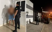PCGO bloqueia R$ 127 mi de suspeitos por fraude em movimentação bovina
