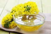 Conheça o óleo vegetal saudável e barato que pode substituir o azeite