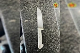 Armado com faca, homem tenta atacar passageiros do BRT no Park Way