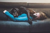 Seu cachorro dorme encostado em você? Veja o que isso significa