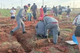 Menino de 10 anos é salvo após cair em buraco ao soltar pipa em SP