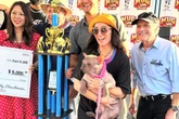 Conheça Petunia, buldogue eleita “cão mais feio do mundo” em concurso