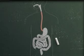 Saúde e digestão: saiba como prevenir as doenças do sistema digestivo