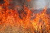 Incêndio de grandes proporções castiga Pirenópolis e fecha cachoeira