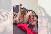 Gato de luxo: Oruam acumula multas de R$ 40,5 mil com o Ibama