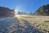 SC tem geada, e cidade mais fria do Brasil registra quase 0°C