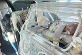 Bebês cardiopatas alagoanos são transferidos para cirurgia em SP