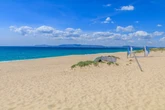 Comporta: conheça o destino que se tornou o mais desejado da Europa